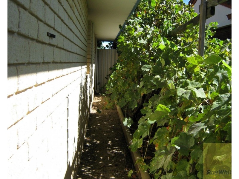 10 Junee Place, Armadale WA 6112