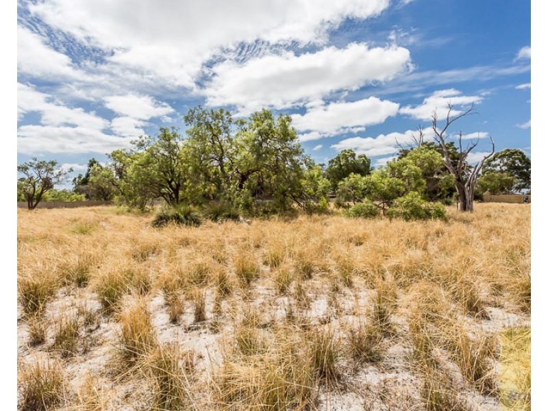 9 Shepherd Court, Harrisdale WA 6112