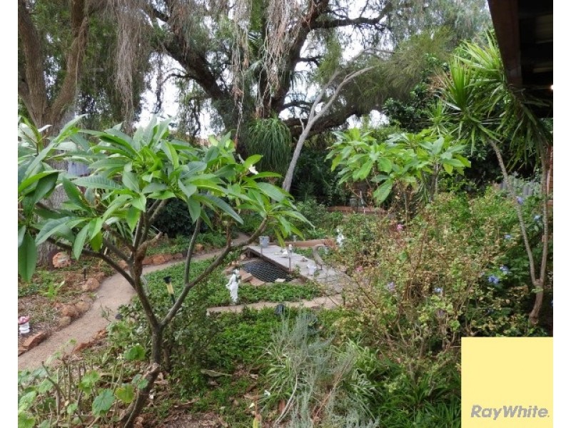 49 Gribble Avenue, Armadale WA 6112