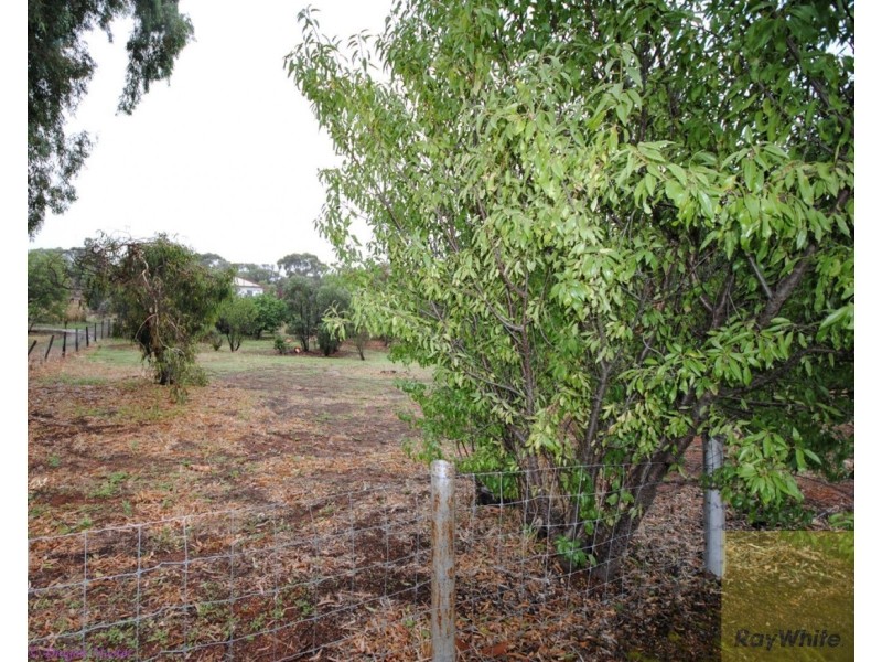 29 Meares Street, York WA 6302