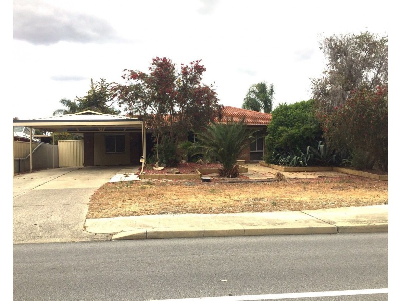 22 Anaconda Drive, Gosnells WA 6110