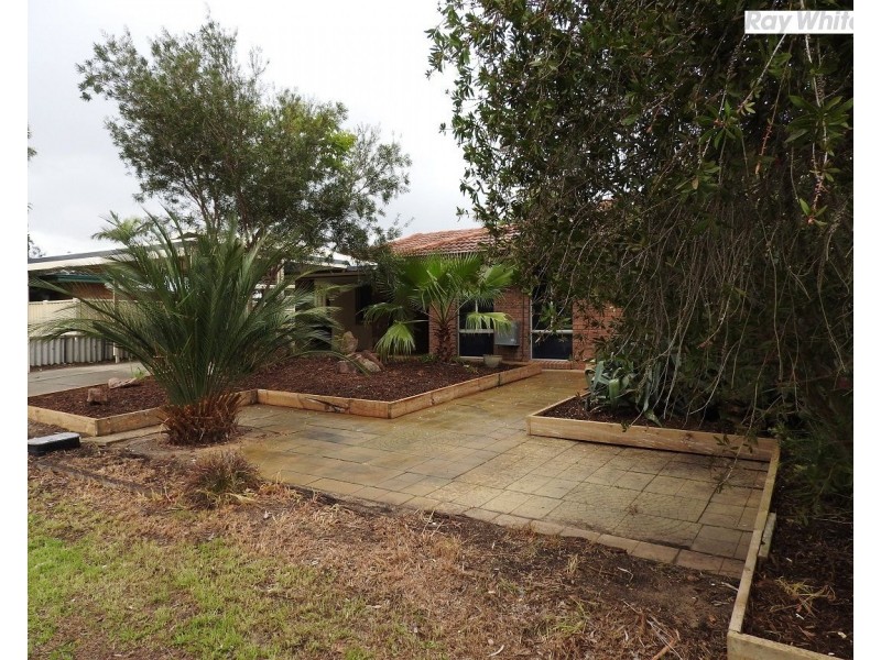 22 Anaconda Drive, Gosnells WA 6110