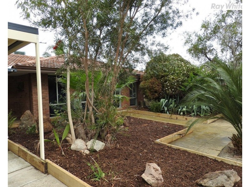 22 Anaconda Drive, Gosnells WA 6110