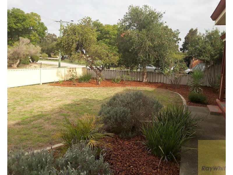 13 Blantyre Way, Kelmscott WA 6111