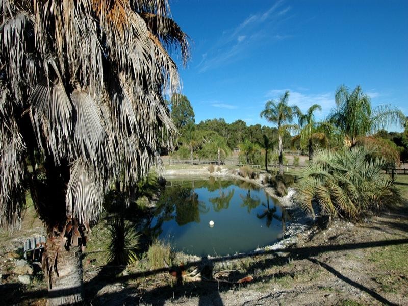 44 Springfield Road, Bedfordale WA 6112