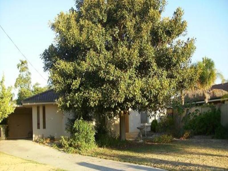 4 Fortunella Grove, Seville Grove WA 6112