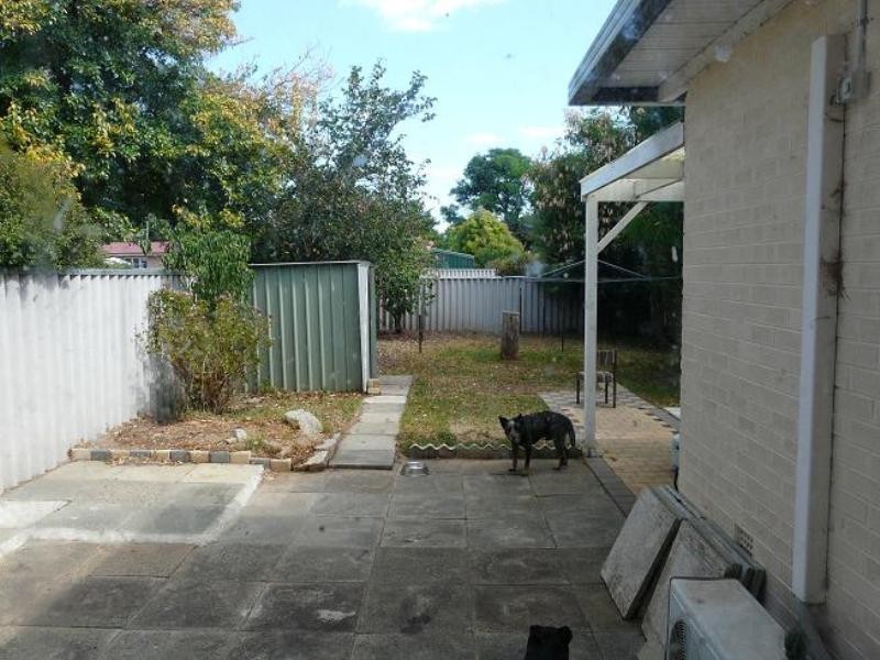 6 Pine Tree Close, Armadale WA 6112