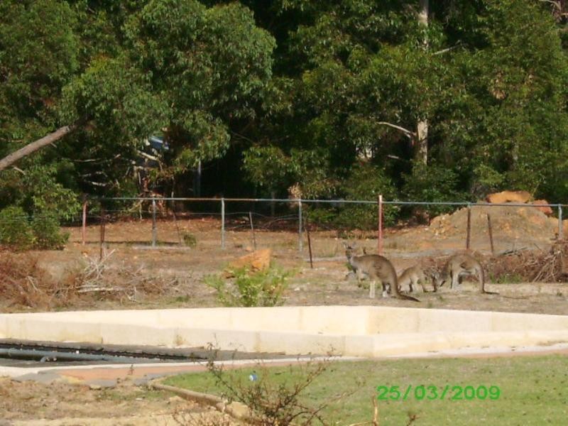 8 Wallengara Road, Bedfordale WA 6112