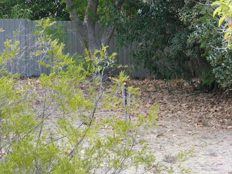 127a Derry Avenue, Mount Nasura WA 6112