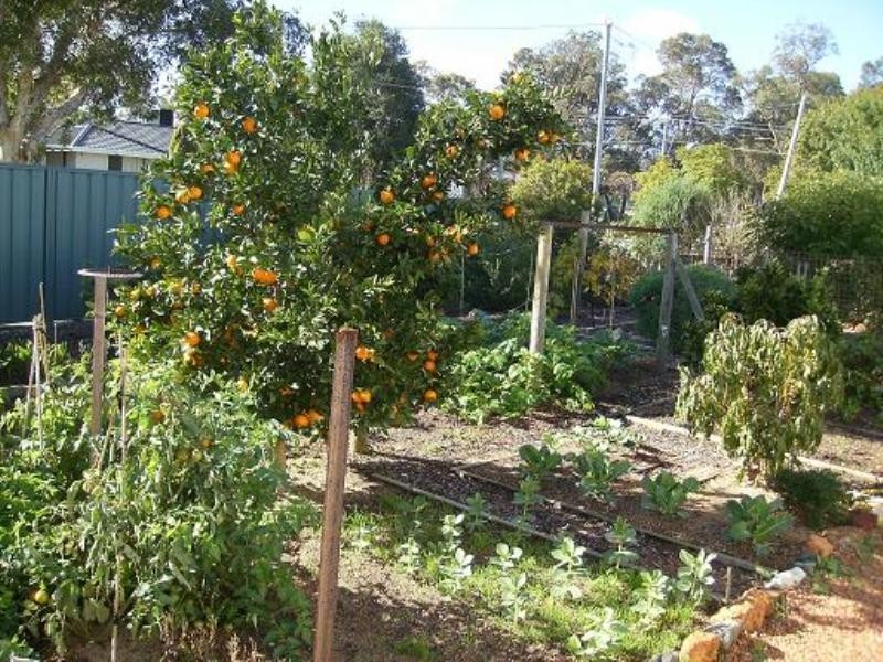 30 Angelo Street, Armadale WA 6112