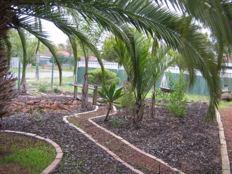 29 Cabarita Road, Armadale WA 6112