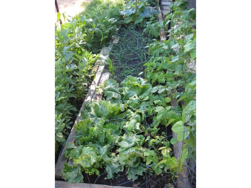 3 Agnew Place, Armadale WA 6112