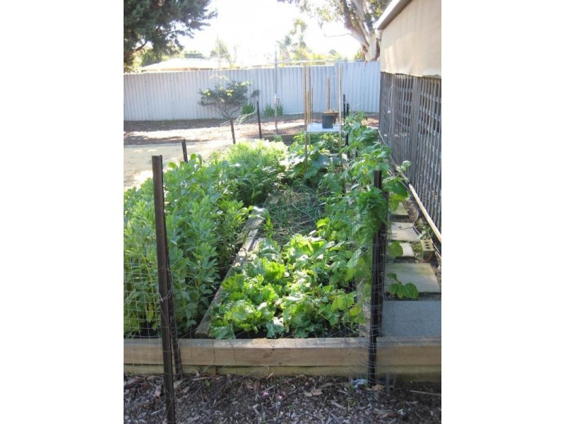 3 Agnew Place, Armadale WA 6112