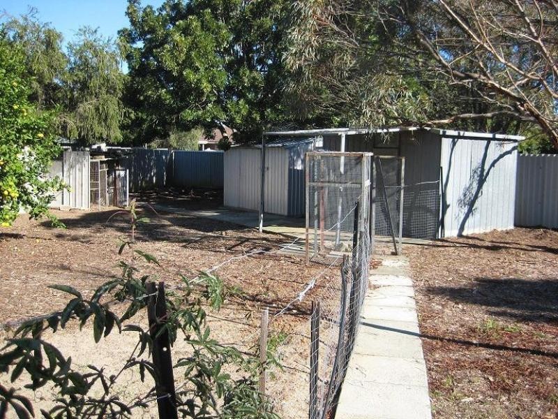 3 Agnew Place, Armadale WA 6112