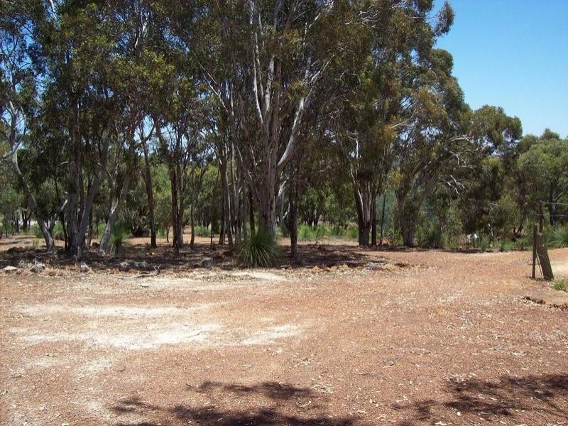 161 Hart Drive, Chittering WA 6084