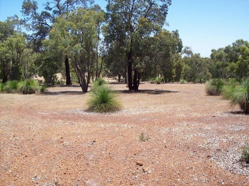 161 Hart Drive, Chittering WA 6084