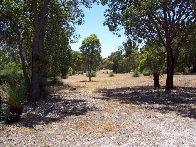 161 Hart Drive, Chittering WA 6084