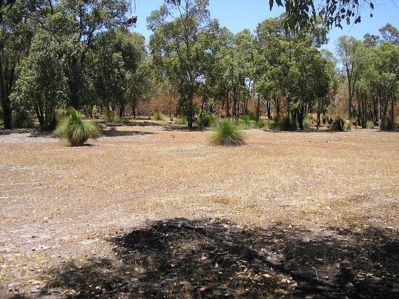 161 Hart Drive, Chittering WA 6084