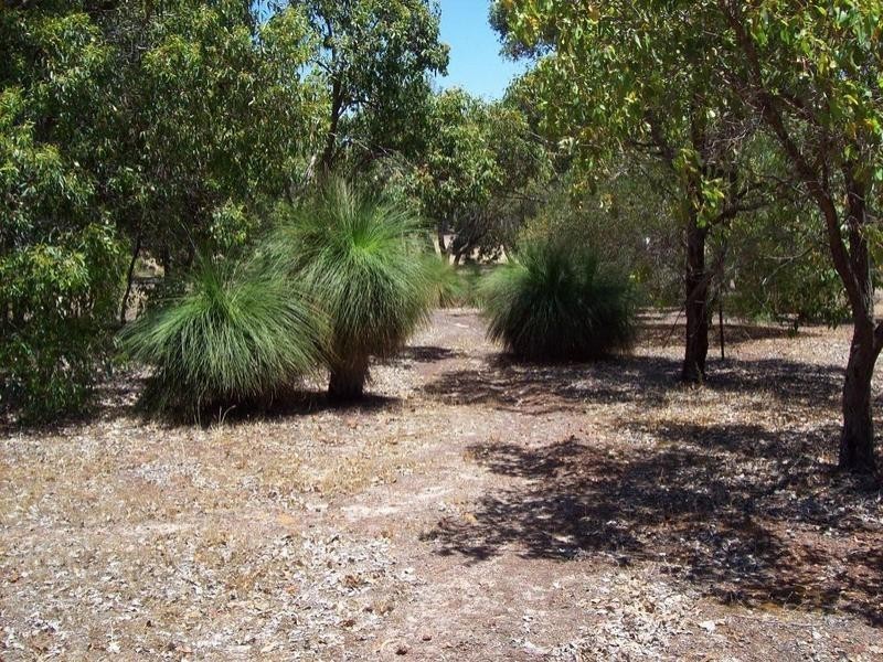 161 Hart Drive, Chittering WA 6084