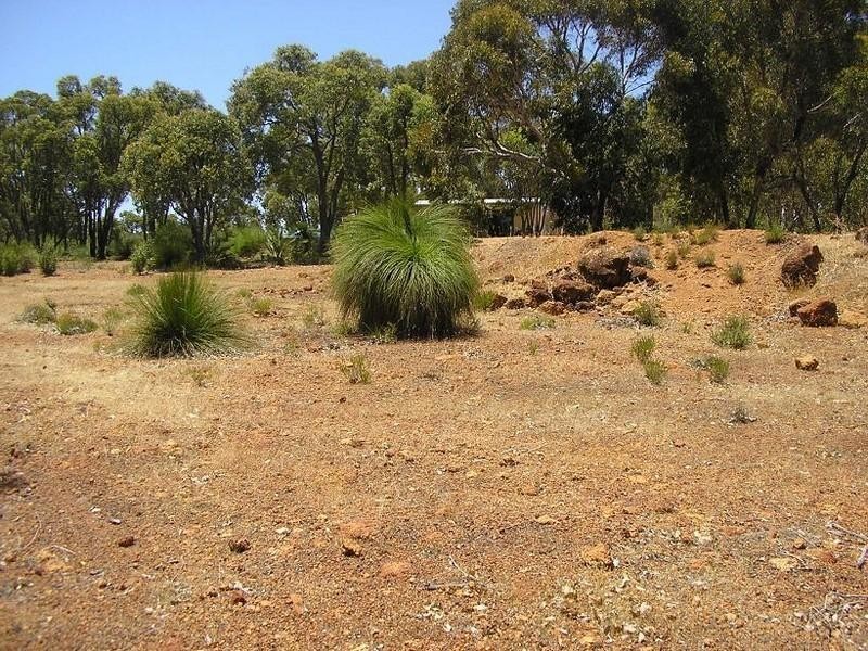 161 Hart Drive, Chittering WA 6084