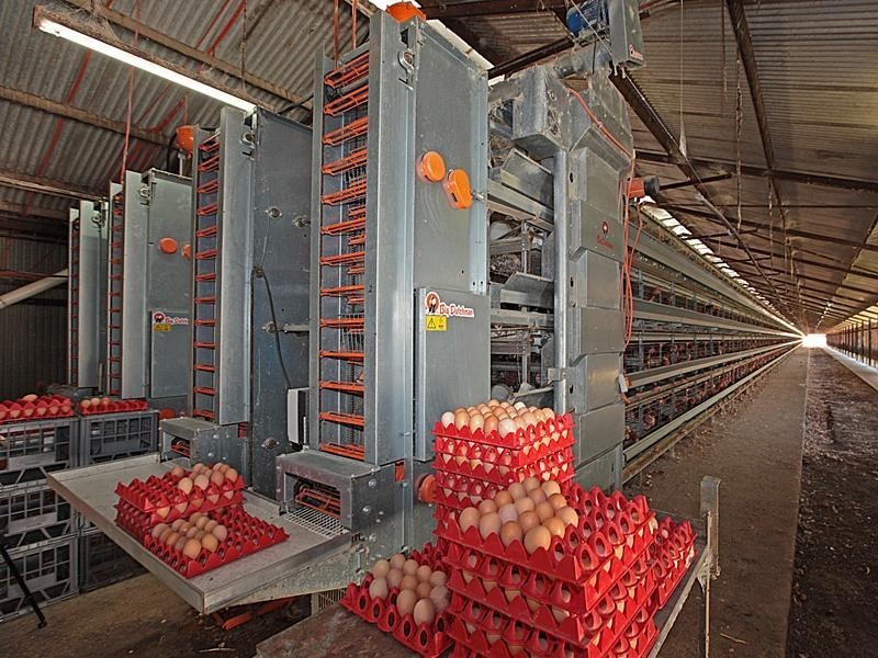 44 Tuart Road, Oakford WA 6121