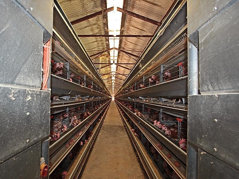 44 Tuart Road, Oakford WA 6121