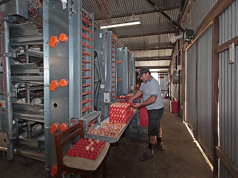 44 Tuart Road, Oakford WA 6121