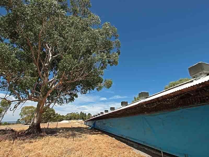 44 Tuart Road, Oakford WA 6121