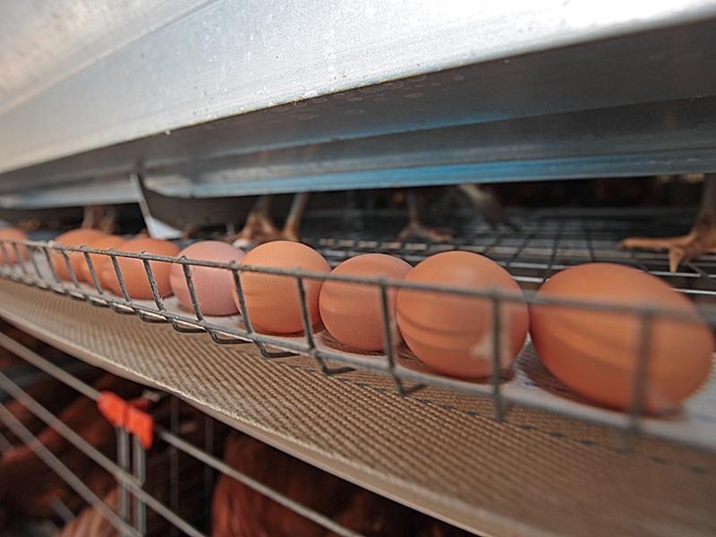 44 Tuart Road, Oakford WA 6121