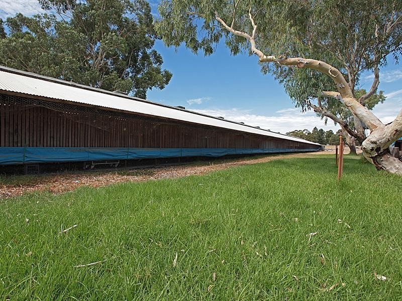 44 Tuart Road, Oakford WA 6121