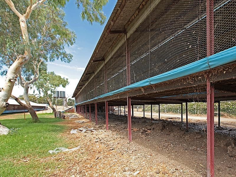 44 Tuart Road, Oakford WA 6121