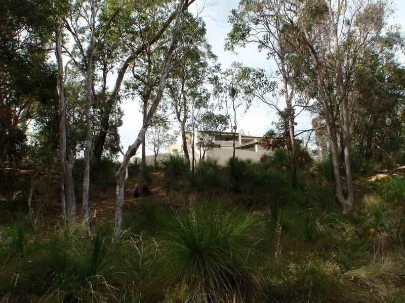 19 Serena Grove, Mount Nasura WA 6112