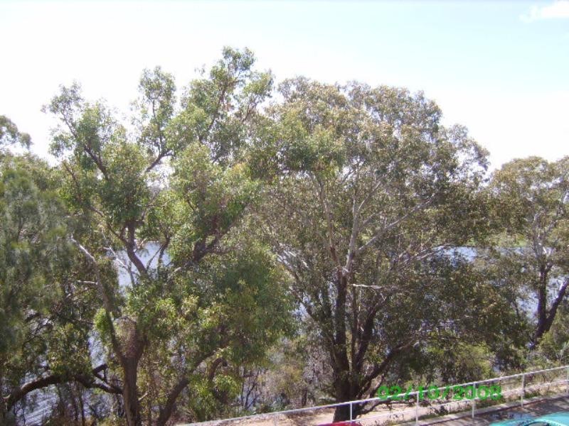 15/5 Minora Place, Rivervale WA 6103