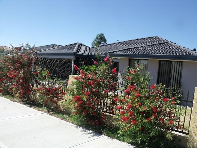 19 Jonquil Loop, Seville Grove WA 6112