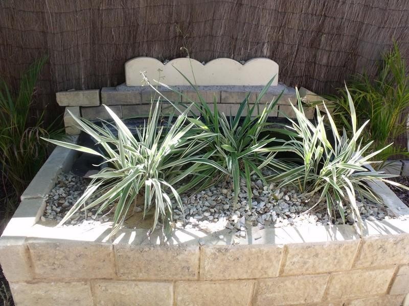 19 Jonquil Loop, Seville Grove WA 6112