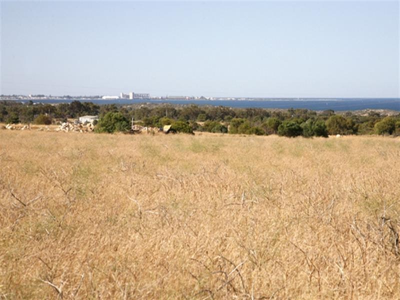 259 Cargeeg Bend, White Peak WA 6532