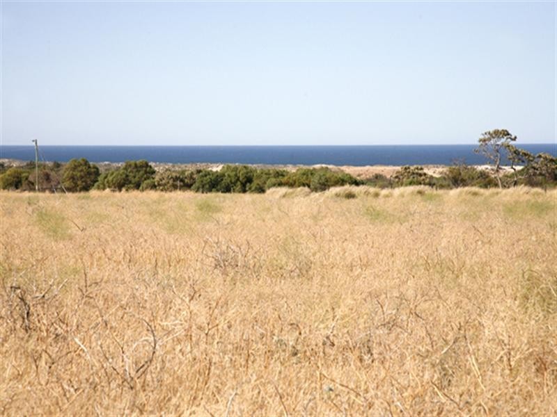 259 Cargeeg Bend, White Peak WA 6532