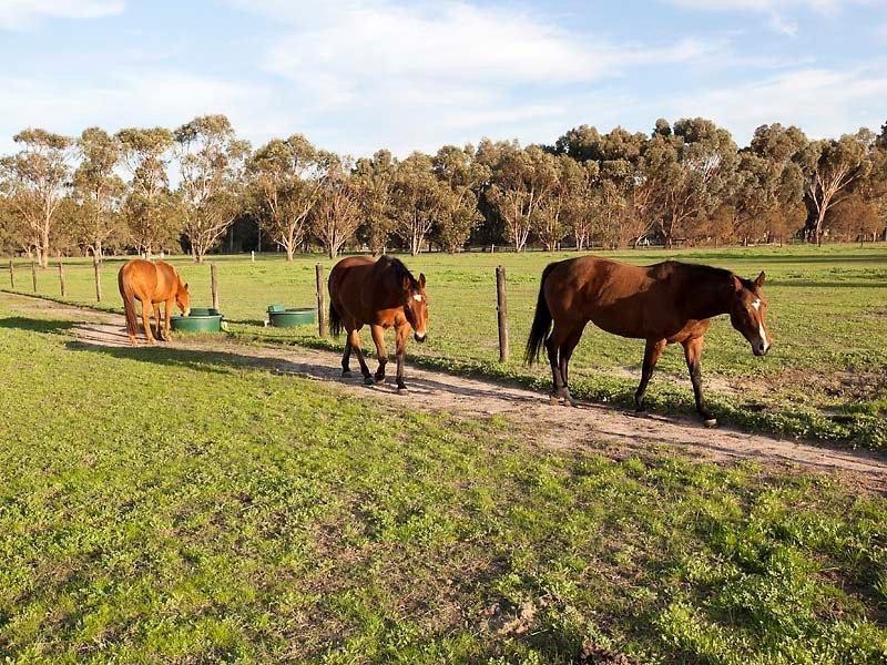 1 Roman Road, Mundijong WA 6123