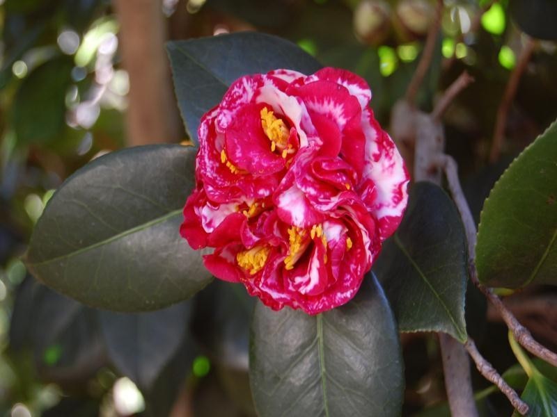 10/88 Church Avenue, Armadale WA 6112