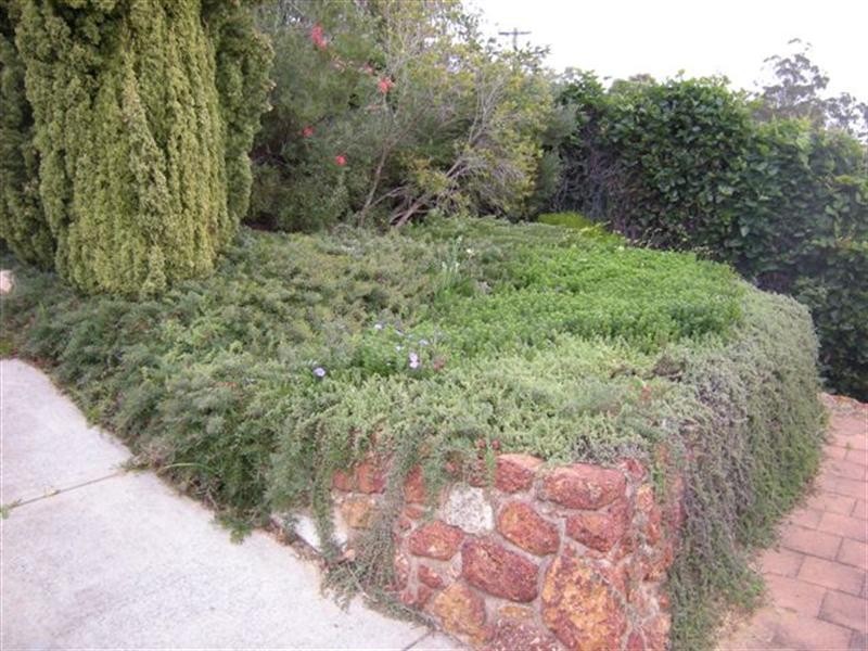 46 Amethyst Crescent, Mount Richon WA 6112