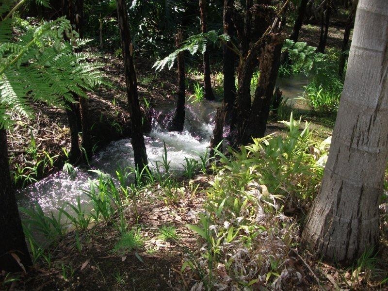 303 Boyd Road, Keysbrook WA 6126