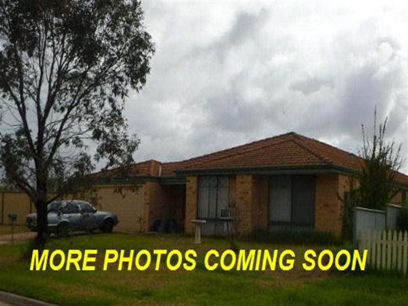 Seville Grove WA 6112