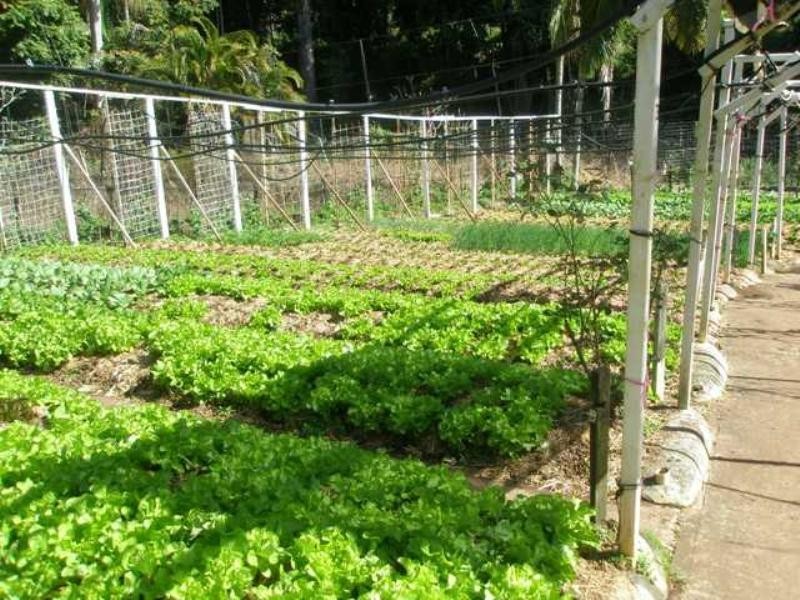 46 Chevallum Road, Palmwoods QLD 4555