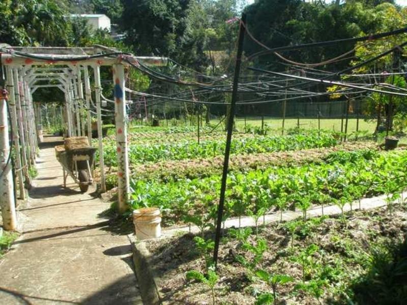 46 Chevallum Road, Palmwoods QLD 4555