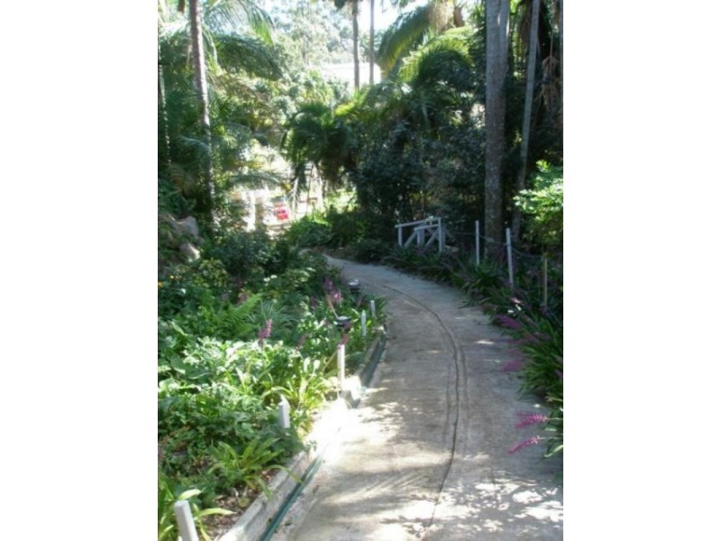 46 Chevallum Road, Palmwoods QLD 4555