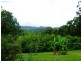 431 Blackall Range Road, West Woombye QLD 4559