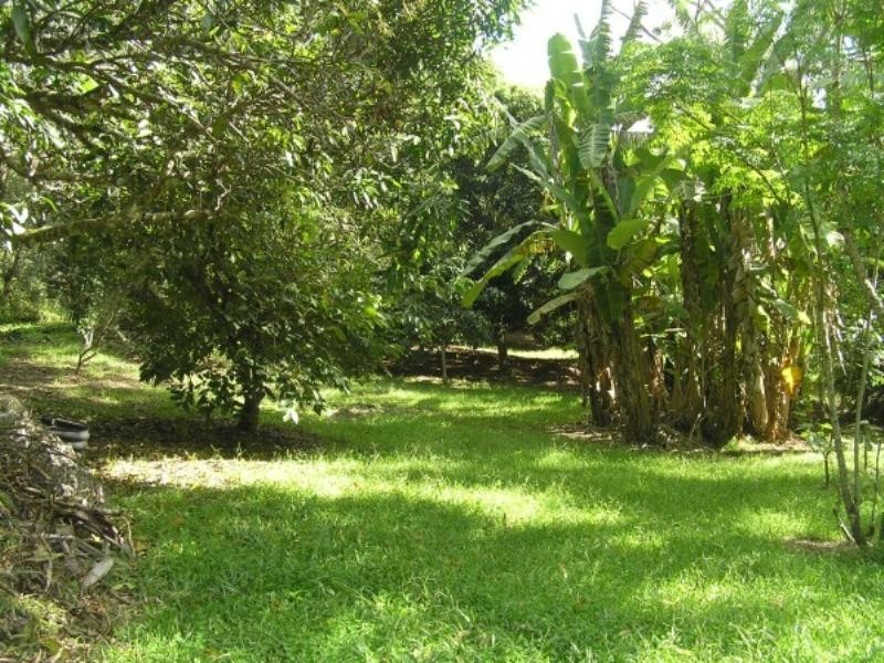 199 Neill Road, Mooloolah Valley QLD 4553