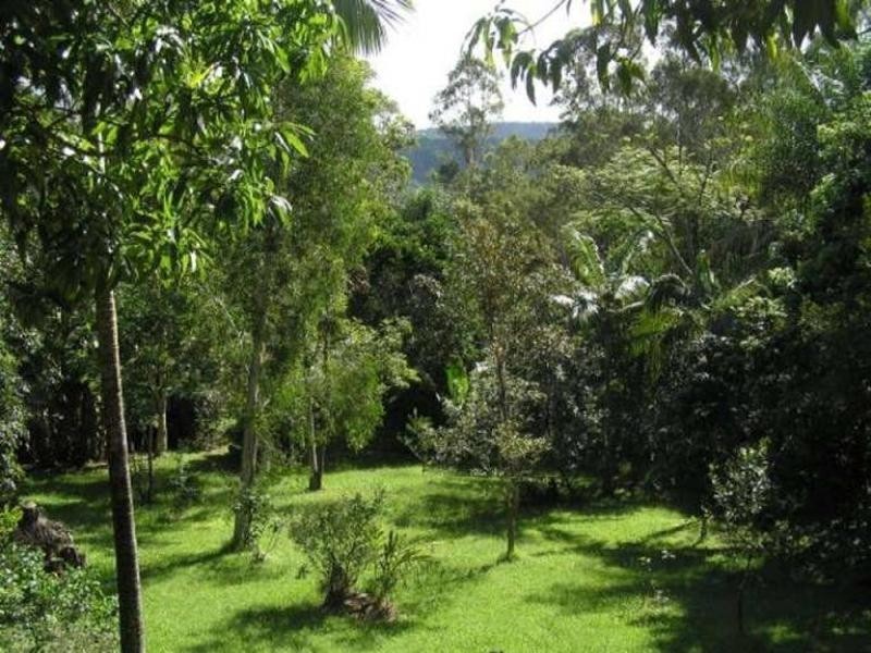 199 Neill Road, Mooloolah Valley QLD 4553