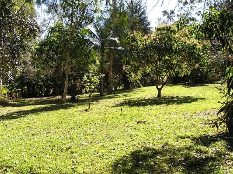 199 Neill Road, Mooloolah Valley QLD 4553