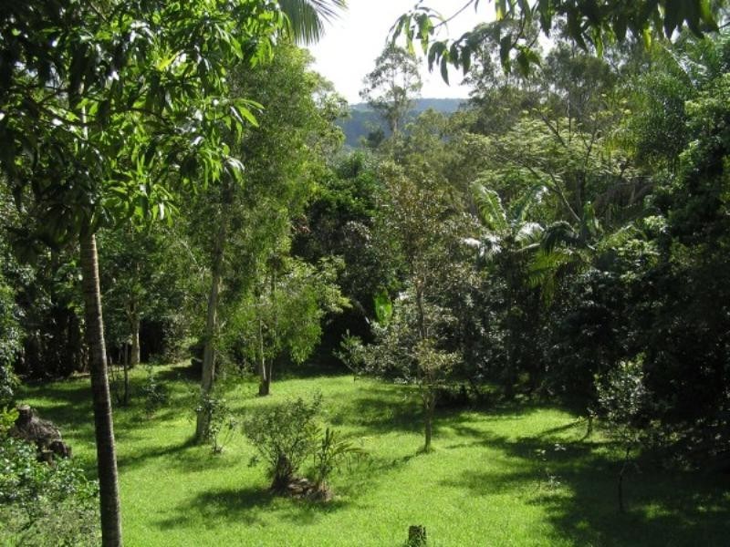 199 Neill Road, Mooloolah Valley QLD 4553